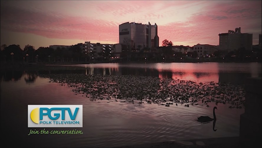 Thumbnail image for Station ID: Swan Sunset