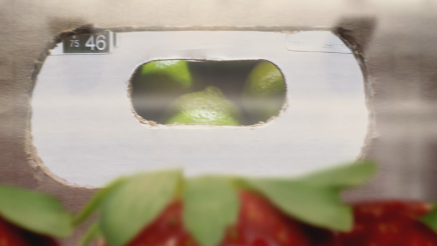 Thumbnail image for PSA: Save the Food - Life of Strawberry