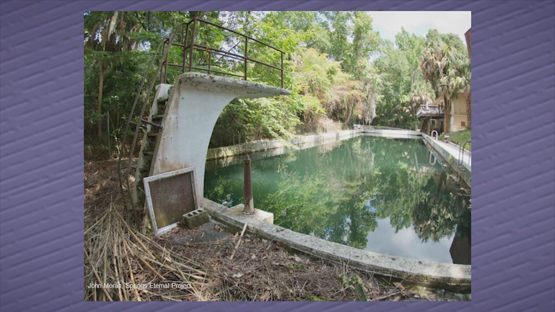 Thumbnail image for Lunch 'n Learn: Florida Springs