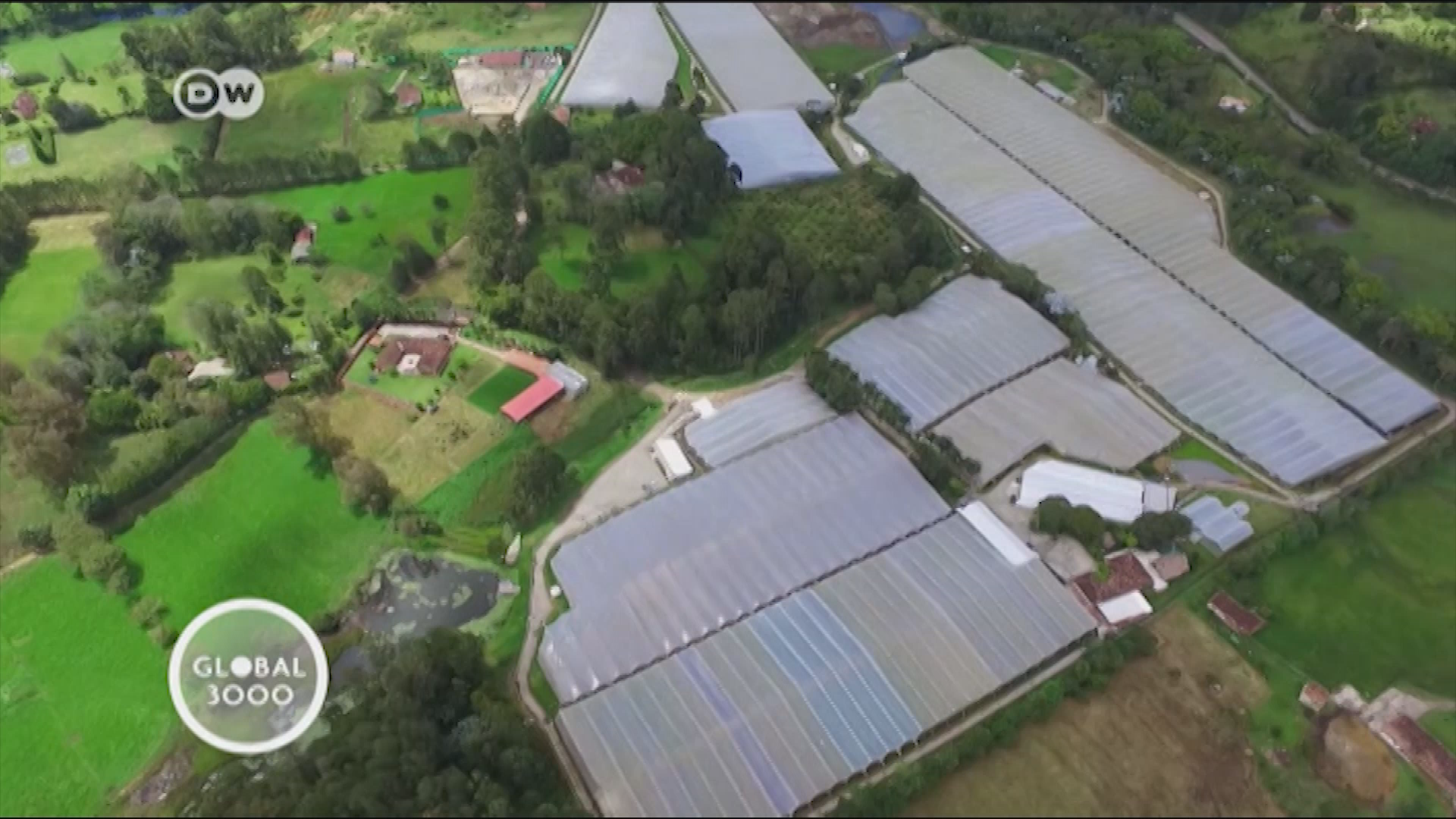 Thumbnail image for Global 3000  2919  July 15 2019