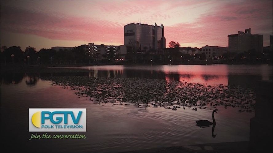 Station ID; Swan Sunset Blocks; 20150303 000012