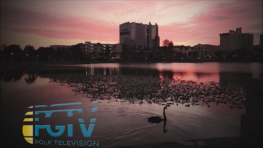 Thumbnail image for Statio ID: Swan