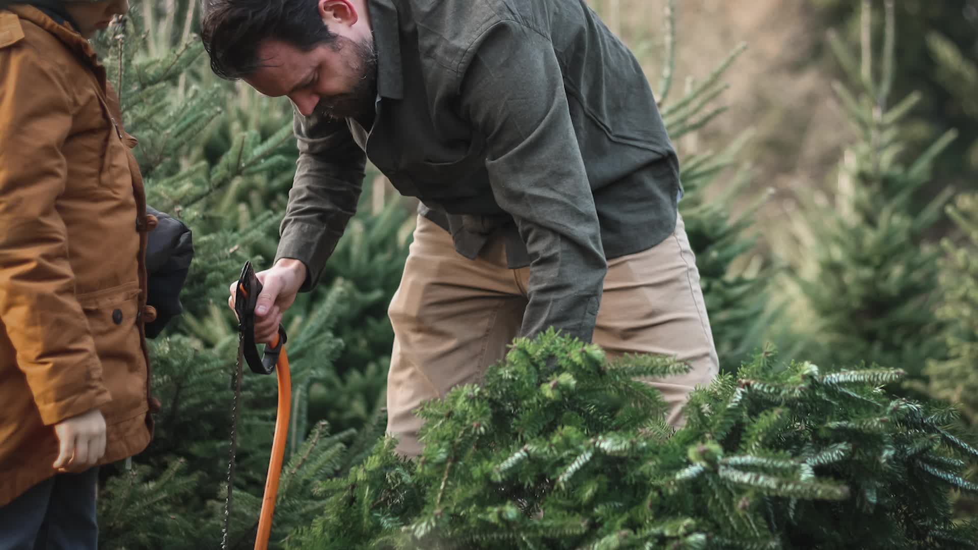 Thumbnail image for Safe Living - Christmas Trees