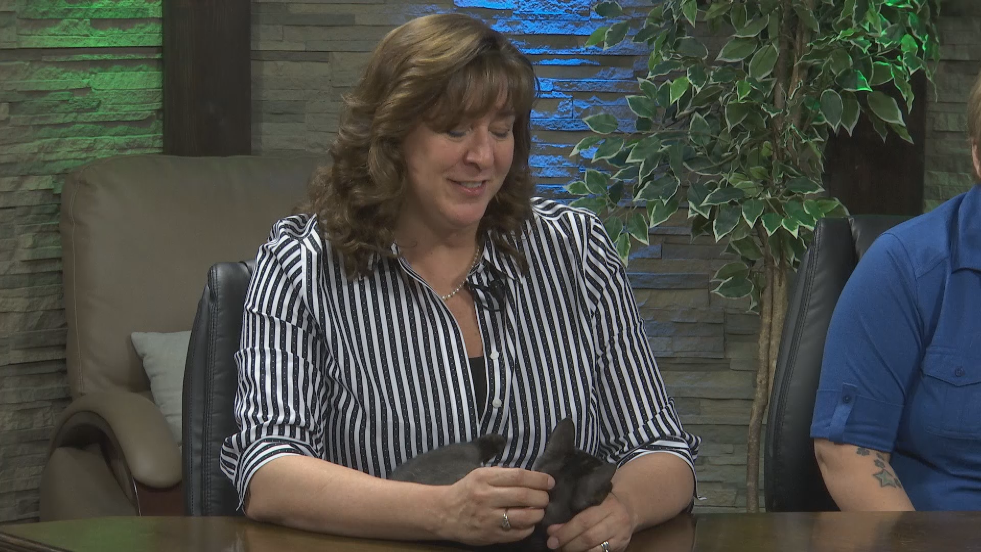 Thumbnail image for Better with Age: Linda May, Nichole Hoag, Alisa Simpkin