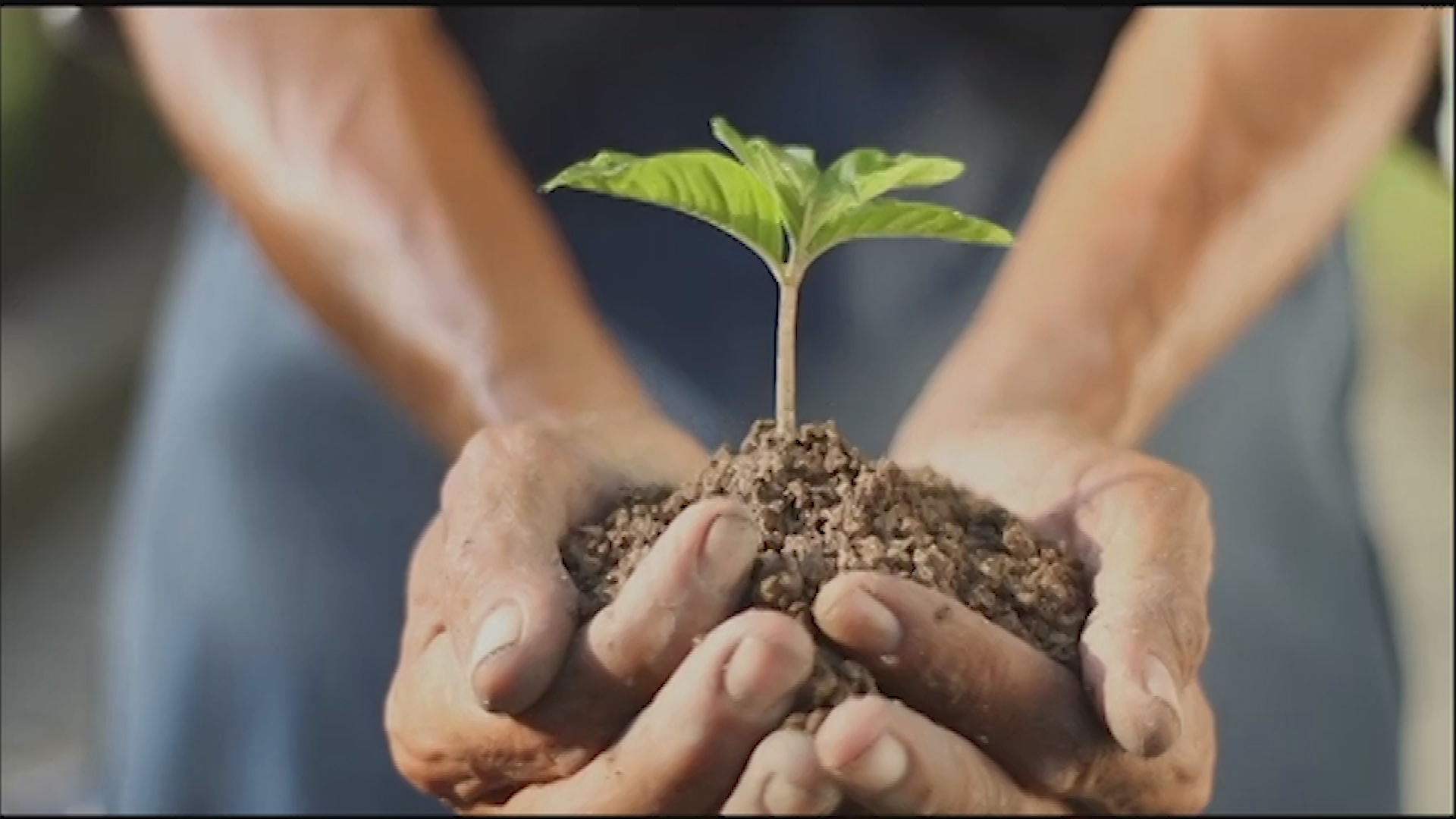 Thumbnail image for PSA: USDA Miracle